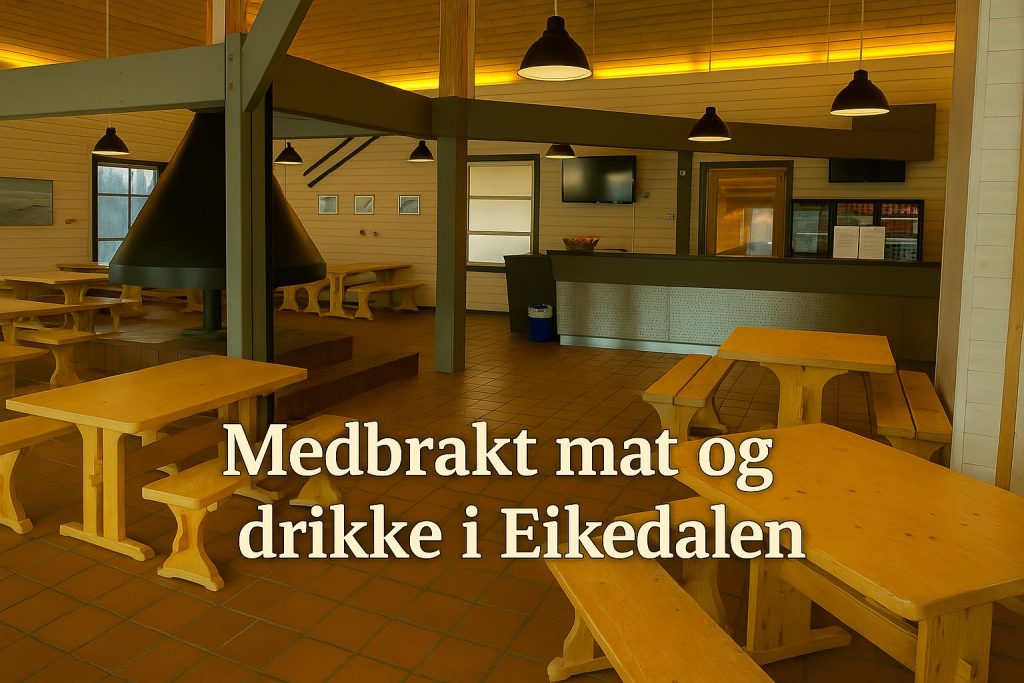Medbrakt mat og drikke